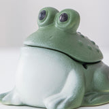 Cute Frog Ceramic Covered Ashtray with Lid Windproof Outdoor Ash Tray