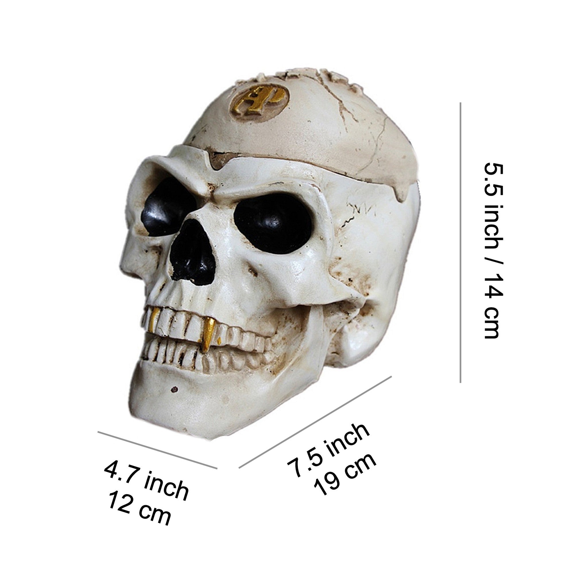 Skull Ashtray with Lid Vintage Resin – Ashtray Planet