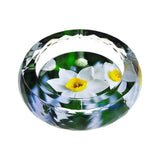 outdoor crystal glass ashtray classy heavy large cute cool ash tray daffodils round