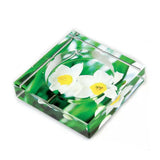 outdoor crystal glass ashtray classy heavy large cute cool ash tray daffodils square